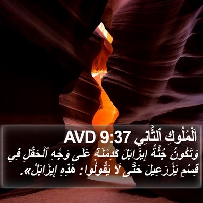 اَلْمُلُوكِ ٱلثَّانِي 9:37 AVD Bible Verse Image