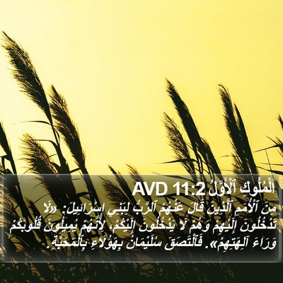 اَلْمُلُوكِ ٱلْأَوَّلُ 11:2 AVD Bible Verse Image