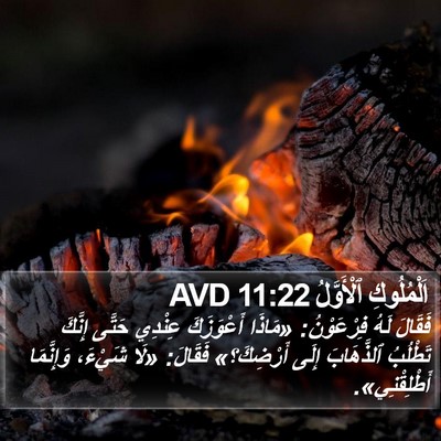 اَلْمُلُوكِ ٱلْأَوَّلُ 11:22 AVD Bible Verse Image