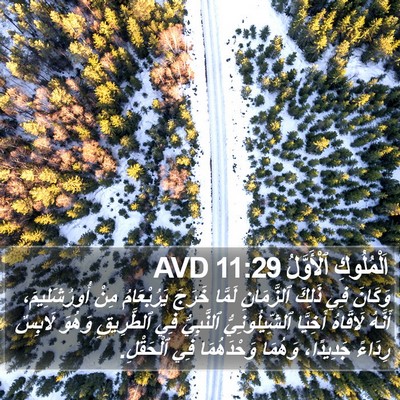 اَلْمُلُوكِ ٱلْأَوَّلُ 11:29 AVD Bible Verse Image