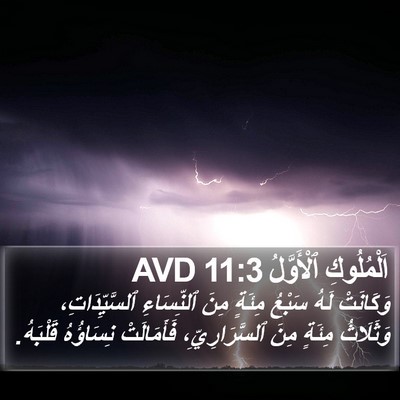 اَلْمُلُوكِ ٱلْأَوَّلُ 11:3 AVD Bible Verse Image
