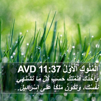اَلْمُلُوكِ ٱلْأَوَّلُ 11:37 AVD Bible Verse Image