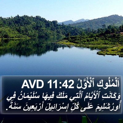 اَلْمُلُوكِ ٱلْأَوَّلُ 11:42 AVD Bible Verse Image