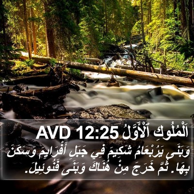 اَلْمُلُوكِ ٱلْأَوَّلُ 12:25 AVD Bible Verse Image