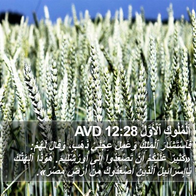 اَلْمُلُوكِ ٱلْأَوَّلُ 12:28 AVD Bible Verse Image