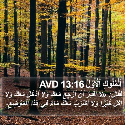 اَلْمُلُوكِ ٱلْأَوَّلُ 13:16 AVD Bible Verse Image