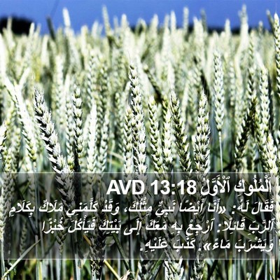 اَلْمُلُوكِ ٱلْأَوَّلُ 13:18 AVD Bible Verse Image