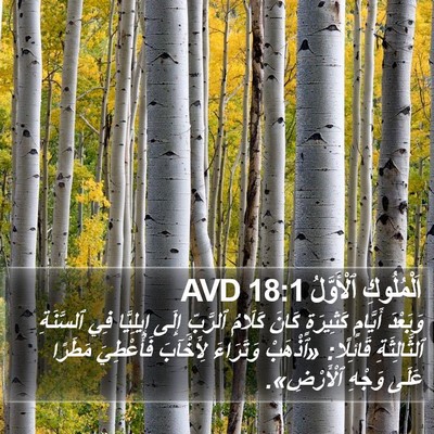 اَلْمُلُوكِ ٱلْأَوَّلُ 18:1 AVD Bible Verse Image