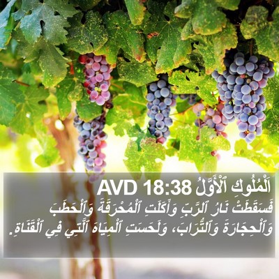 اَلْمُلُوكِ ٱلْأَوَّلُ 18:38 AVD Bible Verse Image