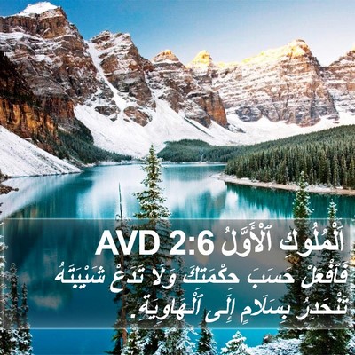 اَلْمُلُوكِ ٱلْأَوَّلُ 2:6 AVD Bible Verse Image