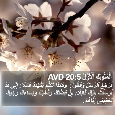اَلْمُلُوكِ ٱلْأَوَّلُ 20:5 AVD Bible Verse Image