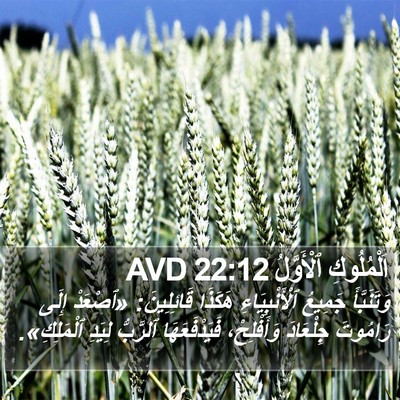 اَلْمُلُوكِ ٱلْأَوَّلُ 22:12 AVD Bible Verse Image