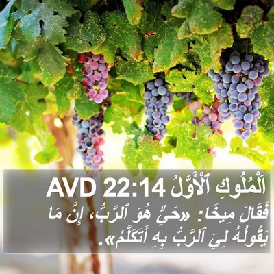 اَلْمُلُوكِ ٱلْأَوَّلُ 22:14 AVD Bible Verse Image