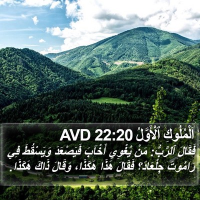 اَلْمُلُوكِ ٱلْأَوَّلُ 22:20 AVD Bible Verse Image