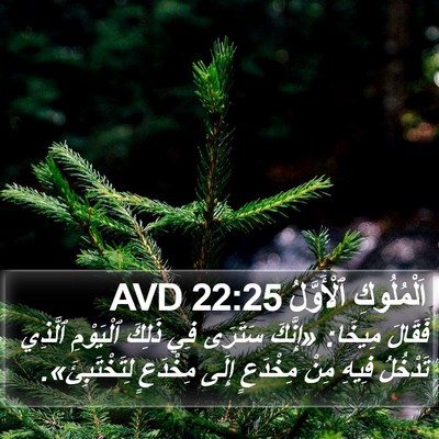 اَلْمُلُوكِ ٱلْأَوَّلُ 22:25 AVD Bible Verse Image