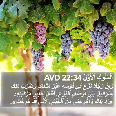 اَلْمُلُوكِ ٱلْأَوَّلُ 22:34 AVD Bible Verse Image