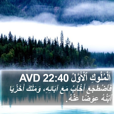 اَلْمُلُوكِ ٱلْأَوَّلُ 22:40 AVD Bible Verse Image