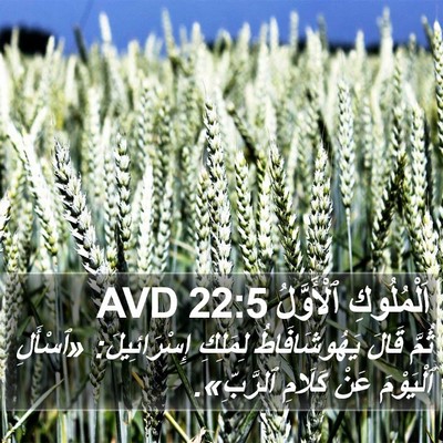 اَلْمُلُوكِ ٱلْأَوَّلُ 22:5 AVD Bible Verse Image