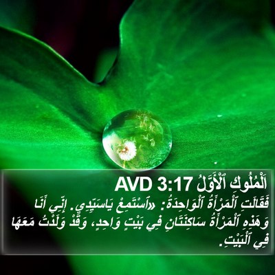 اَلْمُلُوكِ ٱلْأَوَّلُ 3:17 AVD Bible Verse Image