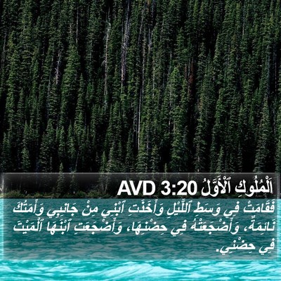 اَلْمُلُوكِ ٱلْأَوَّلُ 3:20 AVD Bible Verse Image