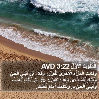 اَلْمُلُوكِ ٱلْأَوَّلُ 3:22 AVD Bible Verse Image