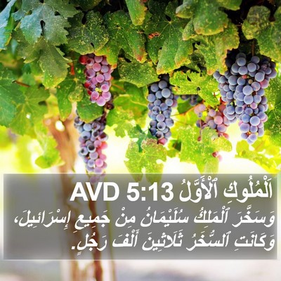 اَلْمُلُوكِ ٱلْأَوَّلُ 5:13 AVD Bible Verse Image