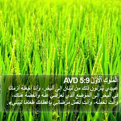 اَلْمُلُوكِ ٱلْأَوَّلُ 5:9 AVD Bible Verse Image