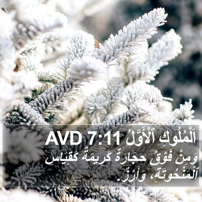 اَلْمُلُوكِ ٱلْأَوَّلُ 7:11 AVD Bible Verse Image