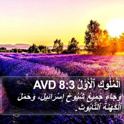 اَلْمُلُوكِ ٱلْأَوَّلُ 8:3 AVD Bible Verse Image
