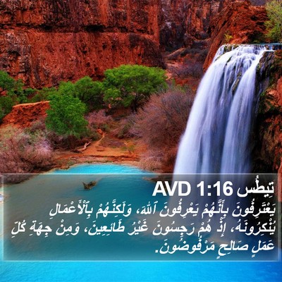 تِيطُس 1:16 AVD Bible Verse Image