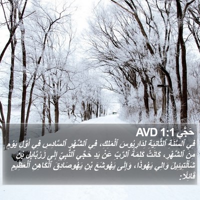 حَجَّي 1:1 AVD Bible Verse Image