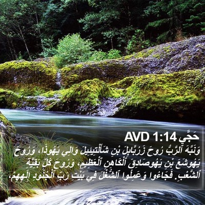 حَجَّي 1:14 AVD Bible Verse Image