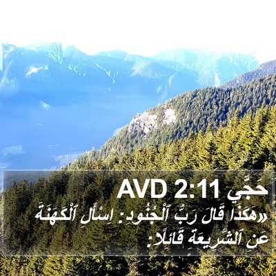 حَجَّي 2:11 AVD Bible Verse Image