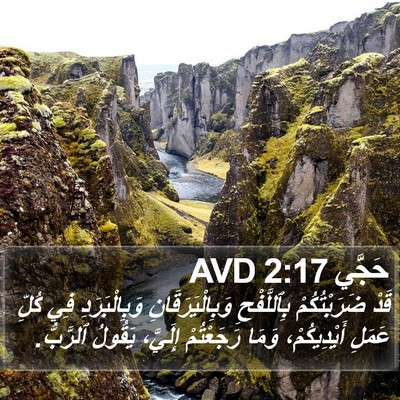حَجَّي 2:17 AVD Bible Verse Image