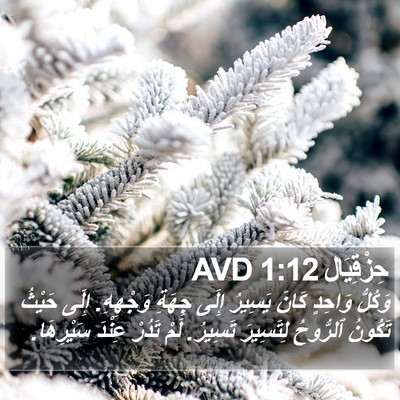حِزْقِيَال 1:12 AVD Bible Verse Image