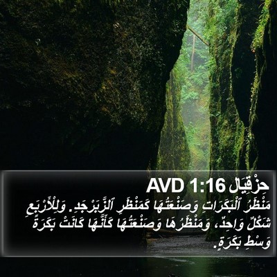 حِزْقِيَال 1:16 AVD Bible Verse Image