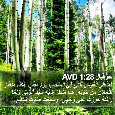 حِزْقِيَال 1:28 AVD Bible Verse Image