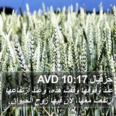 حِزْقِيَال 10:17 AVD Bible Verse Image