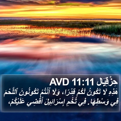حِزْقِيَال 11:11 AVD Bible Verse Image
