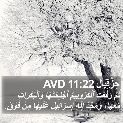 حِزْقِيَال 11:22 AVD Bible Verse Image