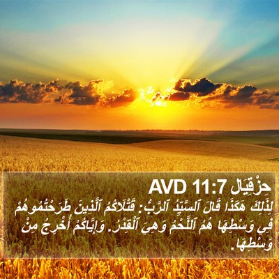 حِزْقِيَال 11:7 AVD Bible Verse Image
