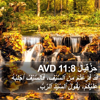 حِزْقِيَال 11:8 AVD Bible Verse Image