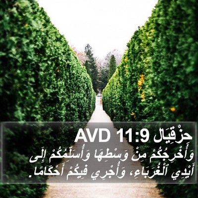 حِزْقِيَال 11:9 AVD Bible Verse Image