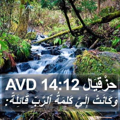حِزْقِيَال 14:12 AVD Bible Verse Image