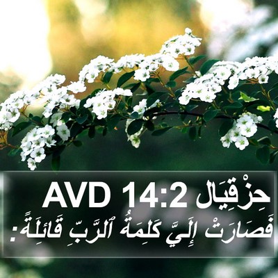 حِزْقِيَال 14:2 AVD Bible Verse Image