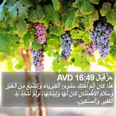 حِزْقِيَال 16:49 AVD Bible Verse Image