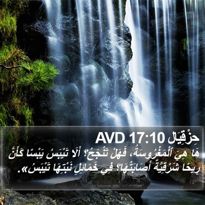 حِزْقِيَال 17:10 AVD Bible Verse Image