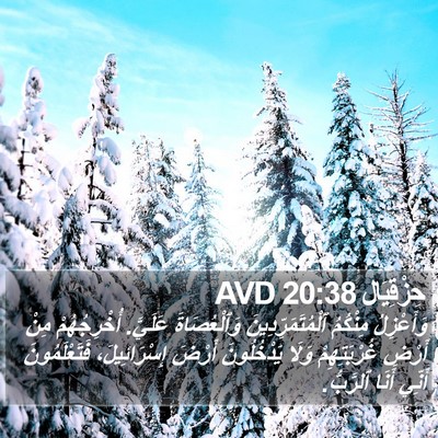 حِزْقِيَال 20:38 AVD Bible Verse Image
