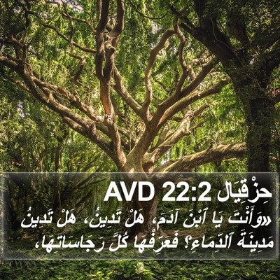 حِزْقِيَال 22:2 AVD Bible Verse Image
