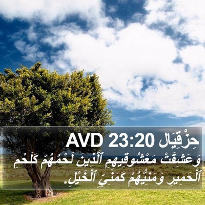حِزْقِيَال 23:20 AVD Bible Verse Image